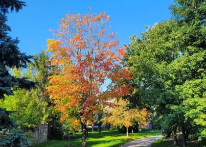 Financial Security:  What it means to me