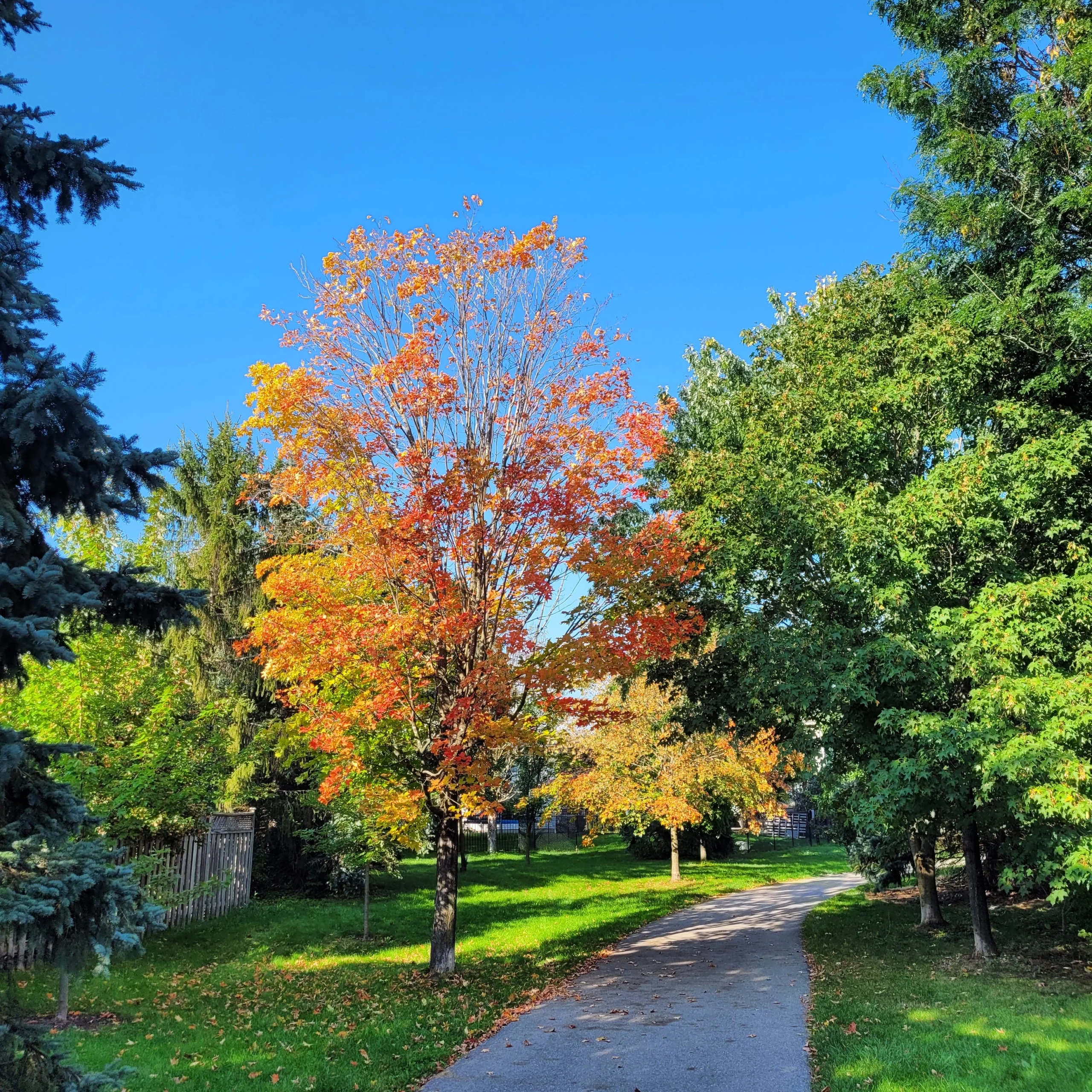 Financial Security:  What it means to me